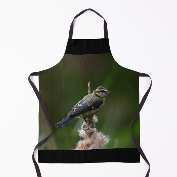 Item preview, Blue Tit - Pretty Bird designed and sold by Art-drawings-md.