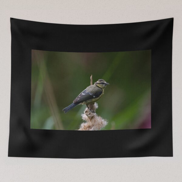 Item preview, Blue Tit - Pretty Bird designed and sold by Art-drawings-md.