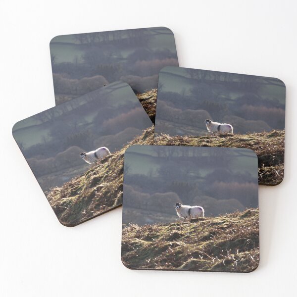 Item preview, Swaledale Ewe enjoying the sunshine in the Lake District designed and sold by RedGrouse.