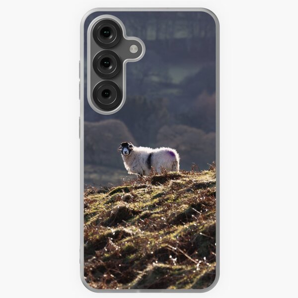 Item preview, Swaledale Ewe enjoying the sunshine in the Lake District designed and sold by RedGrouse.