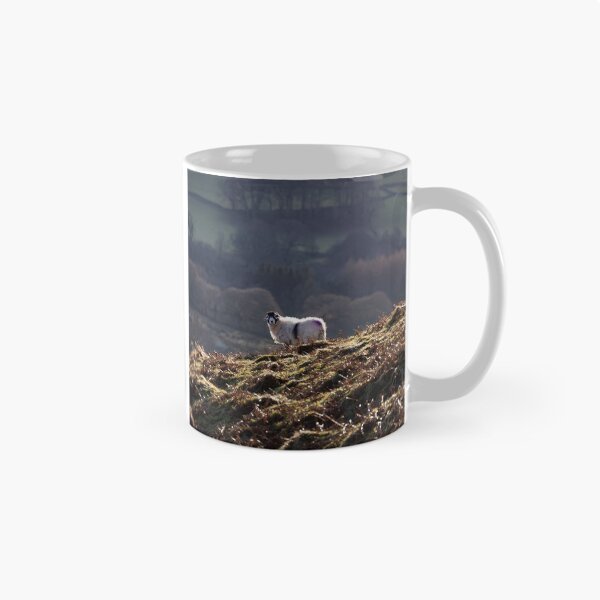 Aperçu de l'œuvre Une brebis de Swaledale profite du soleil dans le Lake District créée et vendue par RedGrouse.