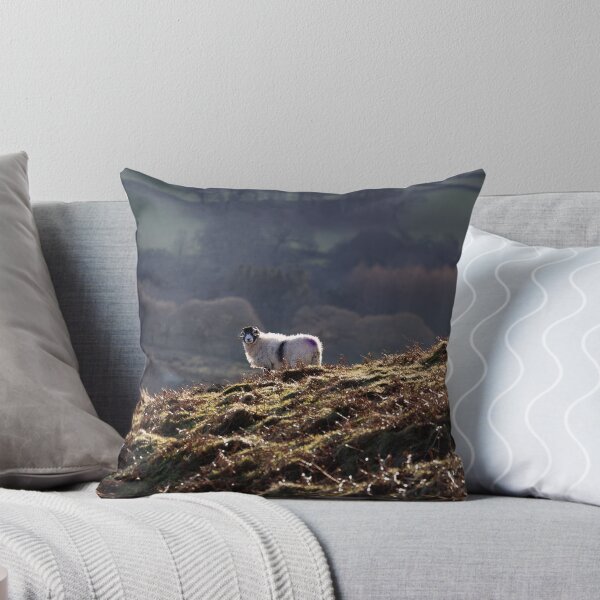 Item preview, Swaledale Ewe enjoying the sunshine in the Lake District designed and sold by RedGrouse.