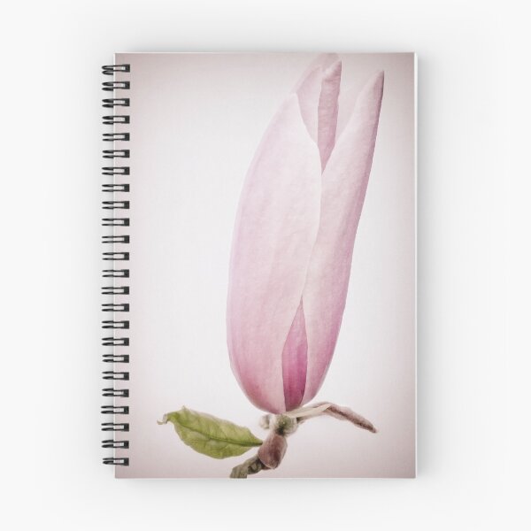 Item preview, Single Magnolia Flower designed and sold by Sara Sadler.