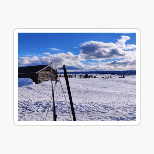 Winter wonderland Sticker