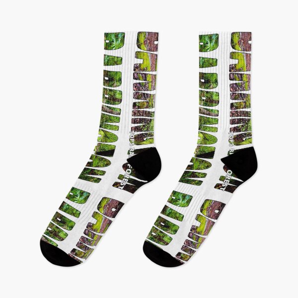 Item preview, BARRINGTON Tops Rainforest - National Park NSW Australia designed and sold by Adam Gormley.