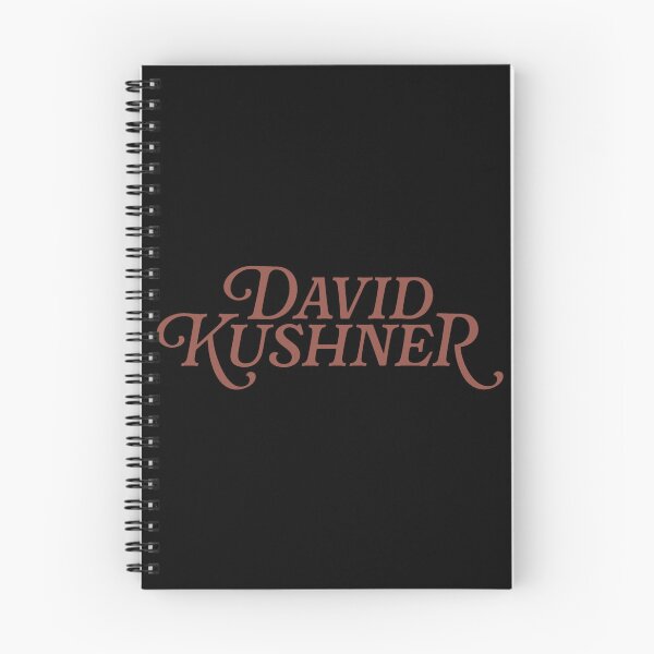 Item preview, David Kushner singer American designed and sold by j3start.