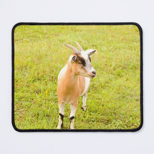 Item preview, Cute Goat on the grass designed and sold by Zina Stromberg.
