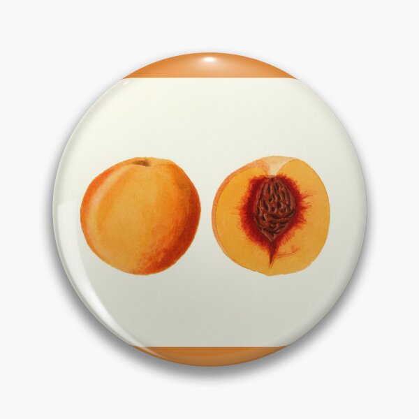 Item preview, Peach cut in half poster/wallart designed and sold by amyyst.