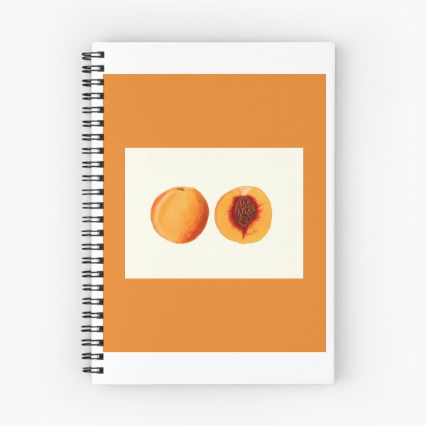 Item preview, Peach cut in half poster/wallart designed and sold by amyyst.