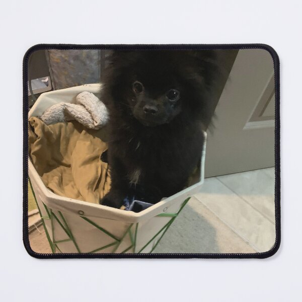 Item preview, Puppy Basket designed and sold by Cgveandrews.