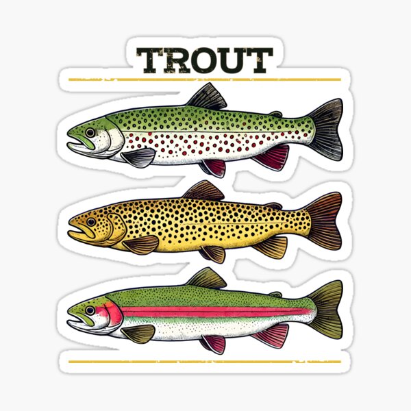 Vista previa del artículo con la obra «Ilustración detallada de trucha: regalo perfecto para pescadores, amantes de la trucha, regalo para pescadores de trucha», diseñado y vendido por rich4Design.