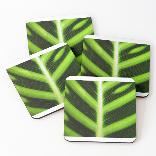Item preview, leaf 2 - (c) ben yassa designed and sold by beny .