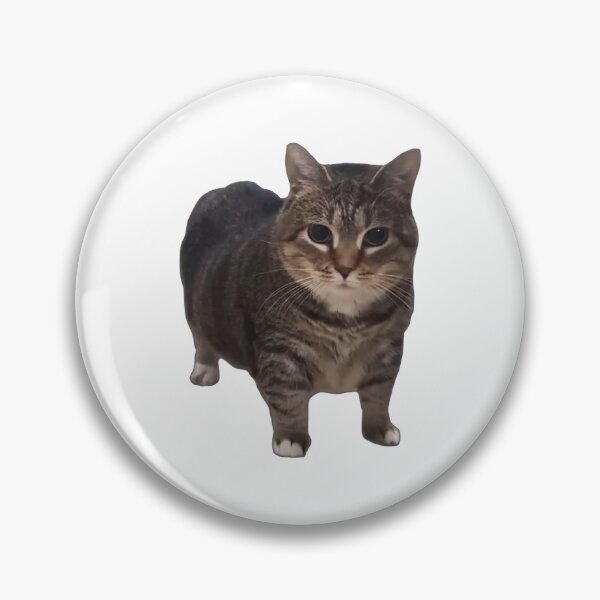 Item preview, spinning oiia oiia cat designed and sold by OlexPrints.