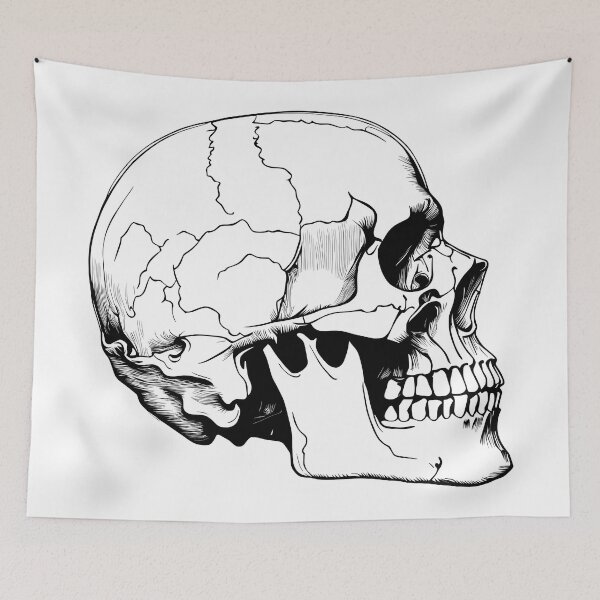 Item preview, Human Skull designed and sold by rheyes.