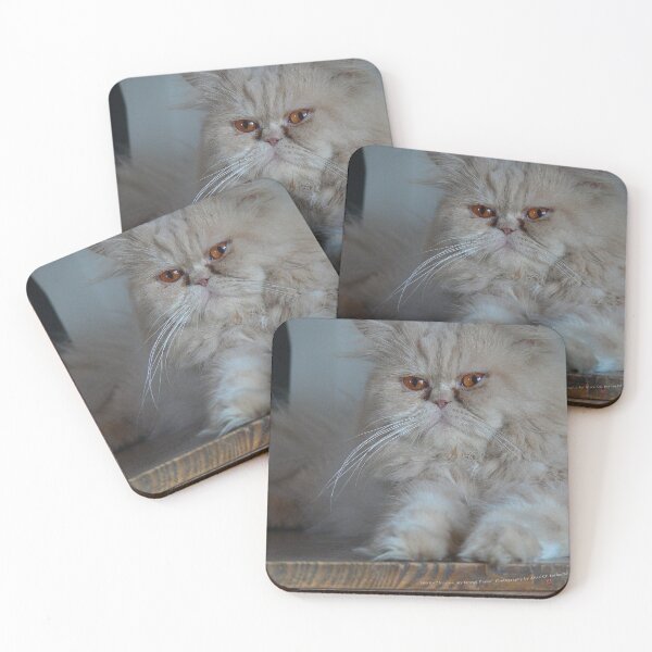 Item preview, Aris Cat on Grand Piano (Photo by AliceCCI) designed and sold by VanyssaGraphics.