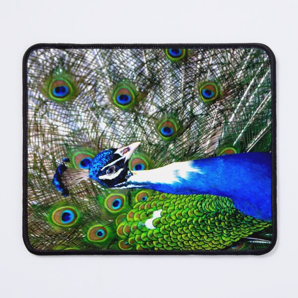 Item preview, Peacock Feathers designed and sold by ontological.