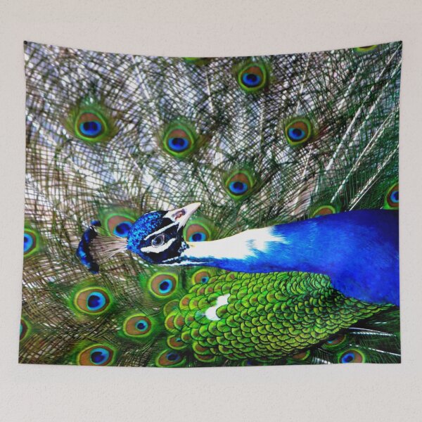 Item preview, Peacock Feathers designed and sold by ontological.