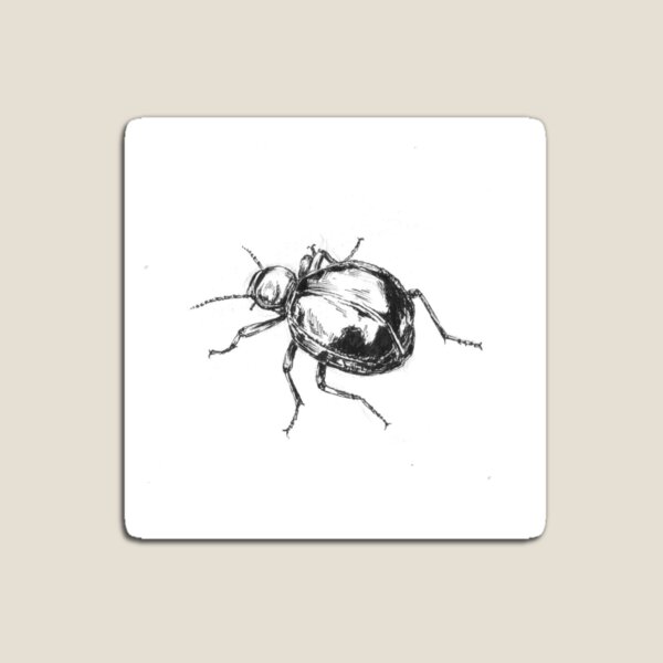Item preview, Detailed Tok Tokkie Beetle designed and sold by earthchildgrace.