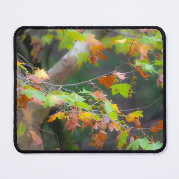 Item preview, nature is the paradise designed and sold by Tereza Pilar  Art.