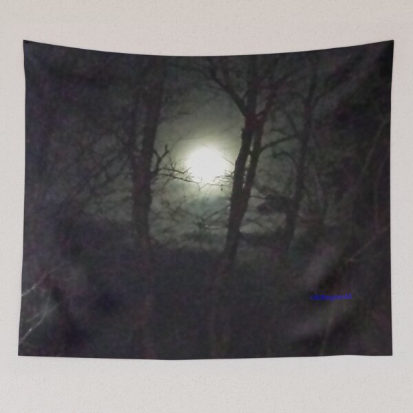 Item preview, "East TN Winter Full Moon" designed and sold by Robert Regenold's Art Shop.