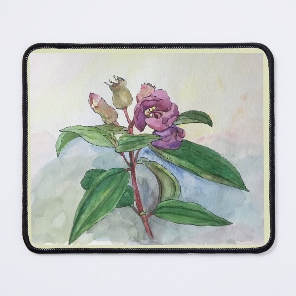 Item preview, Vietnam Botanical Plant Illustration 10 designed and sold by tuyetstudio.