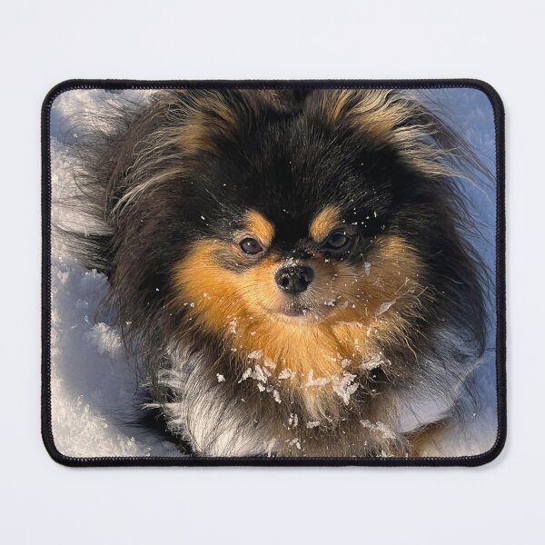 Item preview, pomeranian dog designed and sold by 3Spirit.