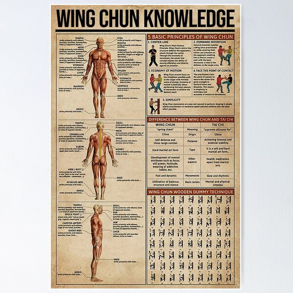 Vista previa del artículo con la obra «Conocimiento del Wing Chun: principios, técnicas y entrenamiento», diseñado y vendido por Bono1990.