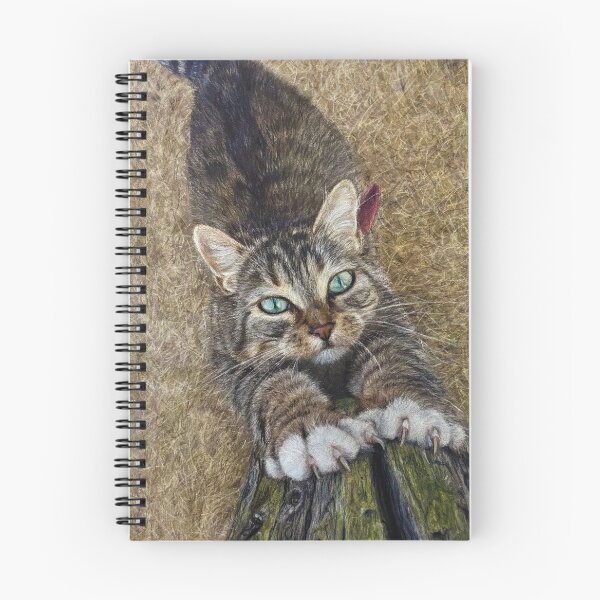 Item preview, Tabby cat with beautiful claws designed and sold by NathBros.