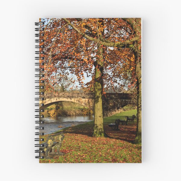 Item preview, Edisford Bridge designed and sold by maureen bracewell.