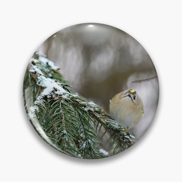 Item preview, Playing the ball. Goldcrest designed and sold by Jouko Lehto Photography.