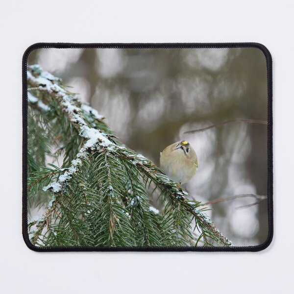 Item preview, Playing the ball. Goldcrest designed and sold by Jouko Lehto Photography.