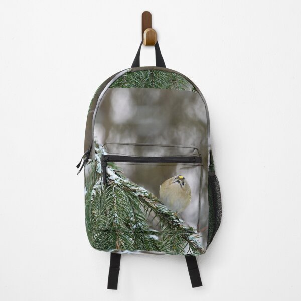 Item preview, Playing the ball. Goldcrest designed and sold by Jouko Lehto Photography.
