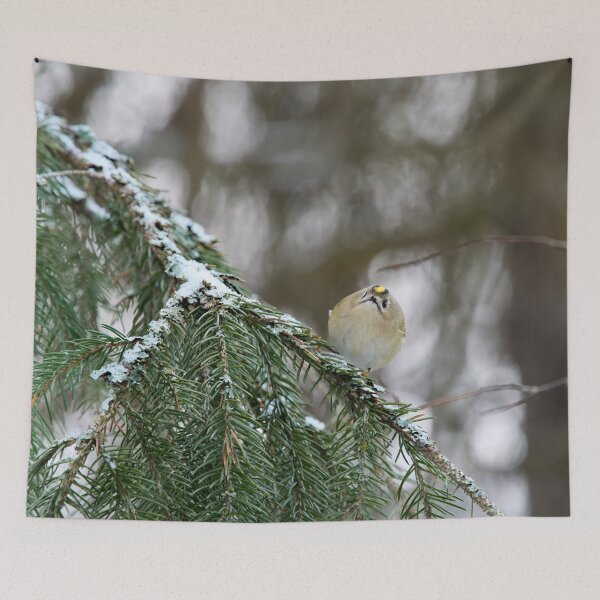 Item preview, Playing the ball. Goldcrest designed and sold by Jouko Lehto Photography.