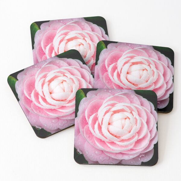 Item preview, Pink Camellias, Japonica and Sasanqua X131 designed and sold by RichFrancoCars.