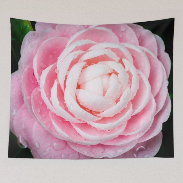 Item preview, Pink Camellias, Japonica and Sasanqua X131 designed and sold by RichFrancoCars.