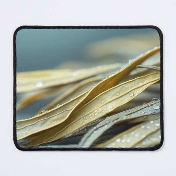 Item preview, Close-up view of delicate dried leaves with droplets resting on their surface, showcasing intricate textures and natural beauty designed and sold by anytka.