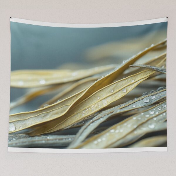 Item preview, Close-up view of delicate dried leaves with droplets resting on their surface, showcasing intricate textures and natural beauty designed and sold by anytka.