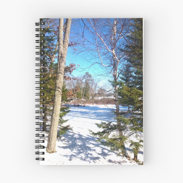 Item preview, Winter in Michigan designed and sold by Sethfinley.