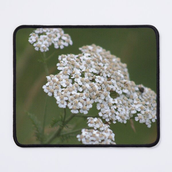 Item preview, Yarrow designed and sold by Phoebew03.