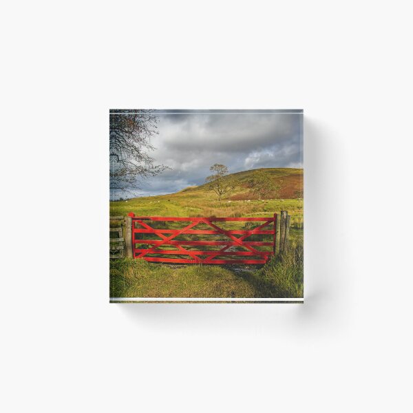 Item preview, The Red Gate designed and sold by maureen bracewell.