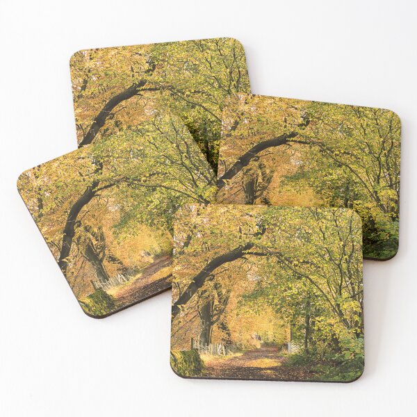 Item preview, Newton in Bowland designed and sold by maureen bracewell.