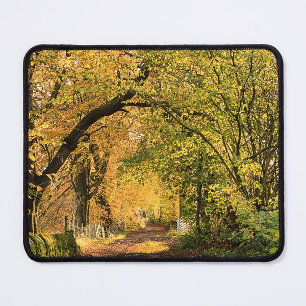 Item preview, Newton in Bowland designed and sold by maureen bracewell.