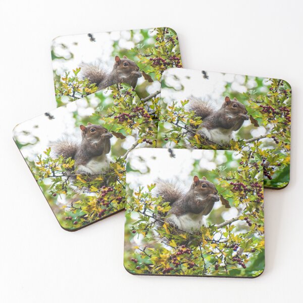 Item preview, Squirrel Berry Bonanza designed and sold by Aimée Wilson.