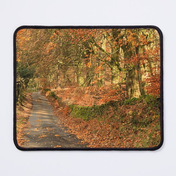 Item preview, Autumn Leaves designed and sold by maureen bracewell.