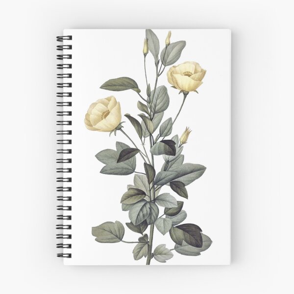 Item preview, Yellow Mallow Flower Illustration, Vintage Illustration, Botanical designed and sold by HawthorneFlame.
