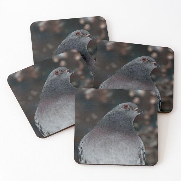 Item preview, Night Pigeon Magic designed and sold by Aimée Wilson.