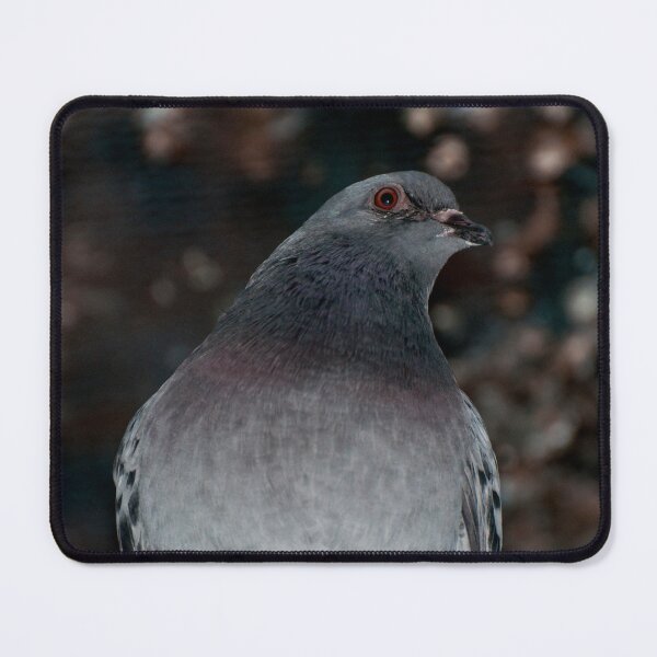 Item preview, Night Pigeon Magic designed and sold by Aimée Wilson.