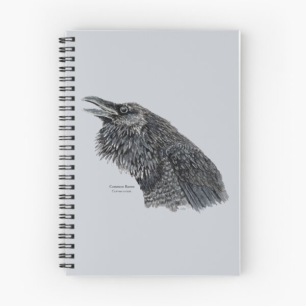 Item preview, Common Raven Painting designed and sold by Stephen Emms.
