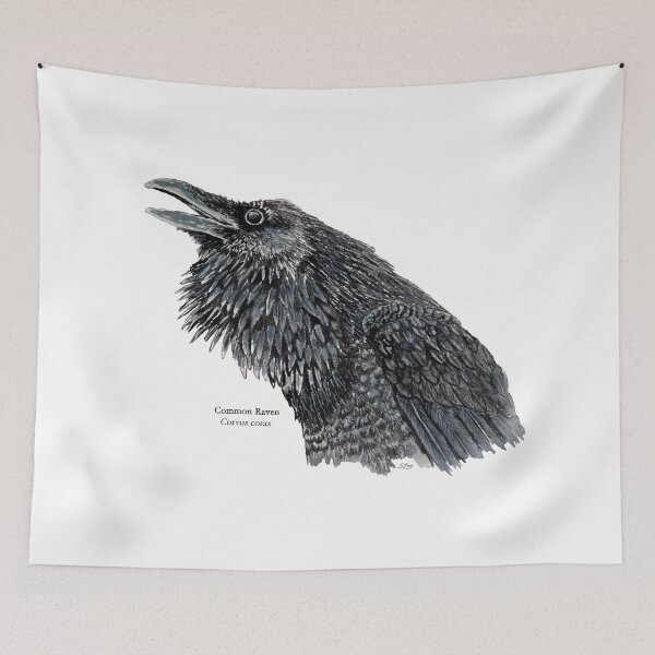 Item preview, Common Raven Painting designed and sold by Stephen Emms.