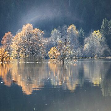 Vorschaubild zum Design Herbstliche Stimmung von 3Spirit